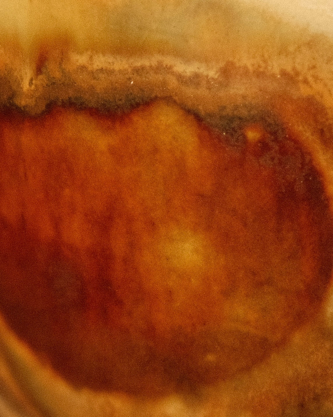 Amber Cup