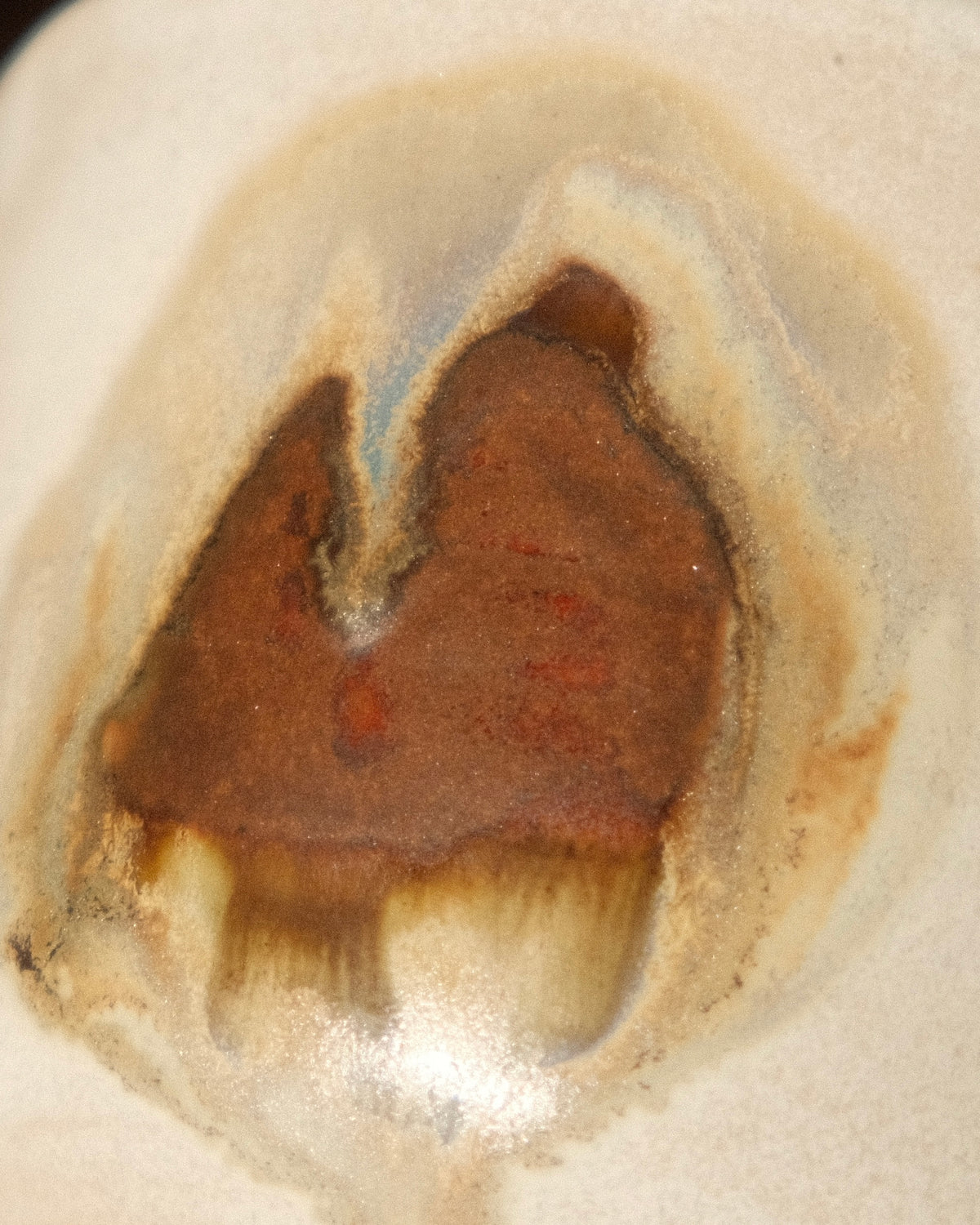 Amber Tasse No. 04